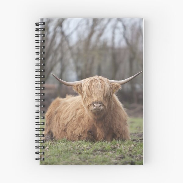 Item preview, Cow with horns designed and sold by animal-animal.