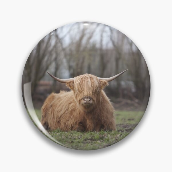 Item preview, Cow with horns designed and sold by animal-animal.