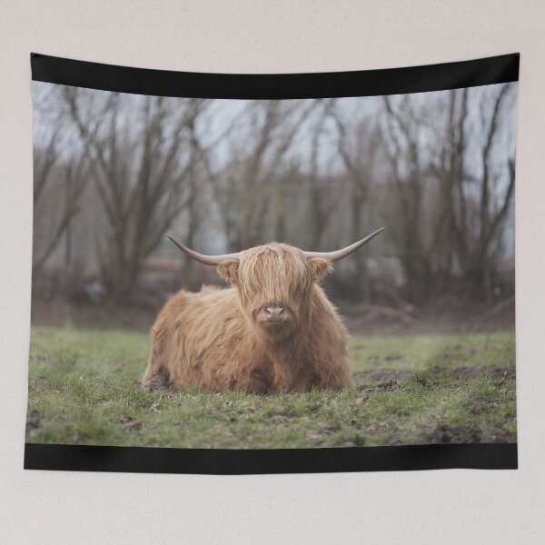 Item preview, Cow with horns designed and sold by animal-animal.