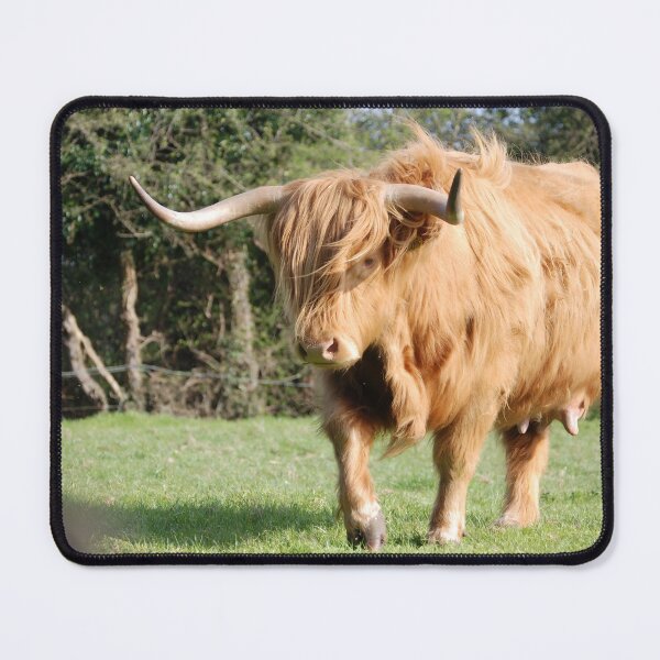 Artikelvorschau, Cow with horns entworfen und verkauft von animal-animal.