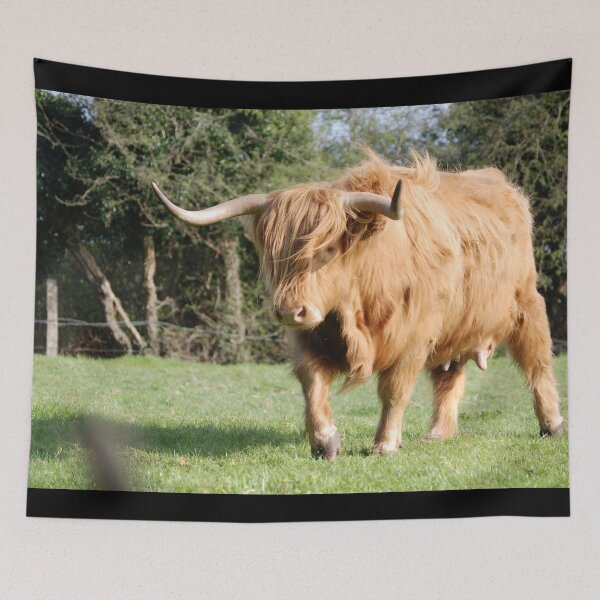 Item preview, Cow with horns designed and sold by animal-animal.