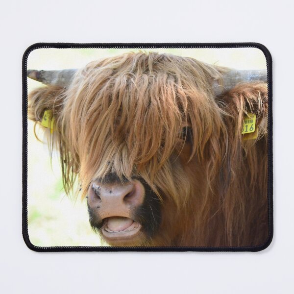 Item preview, Cow with horns designed and sold by animal-animal.