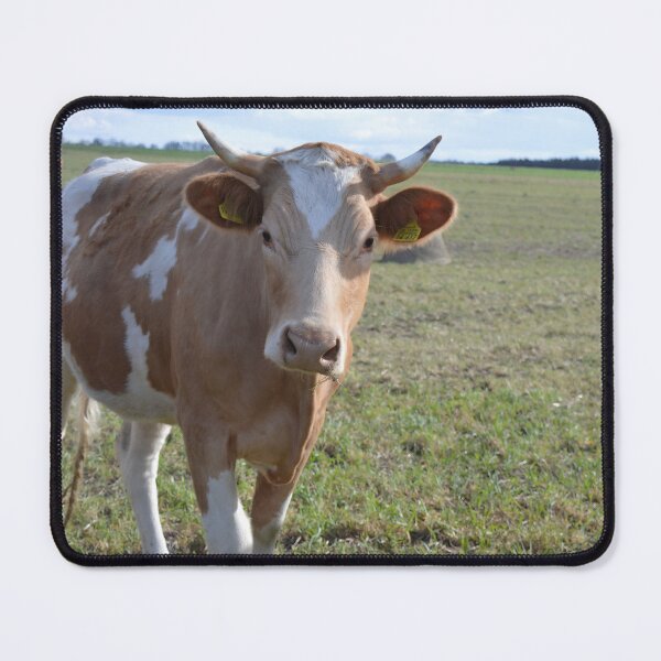 Item preview, Cow with horns designed and sold by animal-animal.