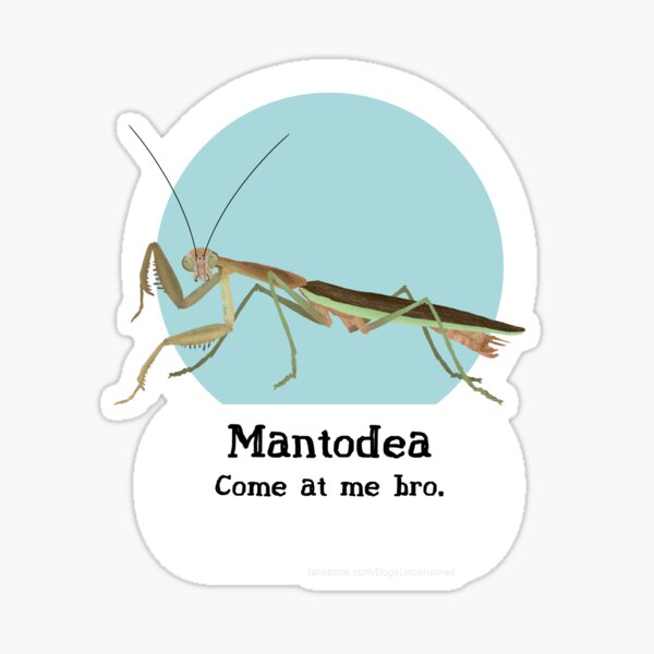Mantodea Pride! Sticker