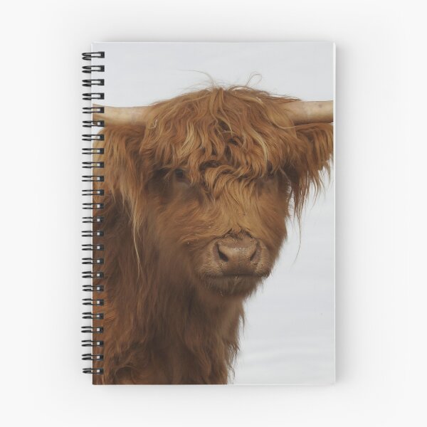 Item preview, Cow with horns designed and sold by animal-animal.