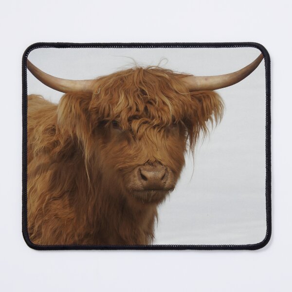 Item preview, Cow with horns designed and sold by animal-animal.