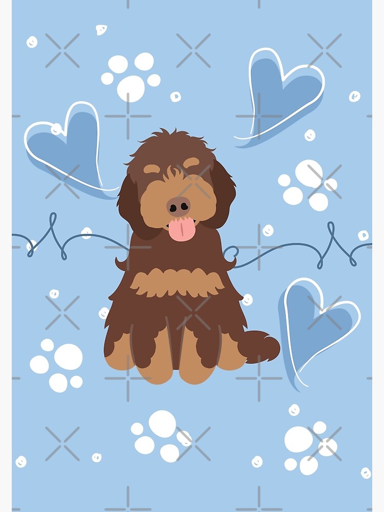 Love Chocolate Phantom Cockapoo Cavapoo Dog