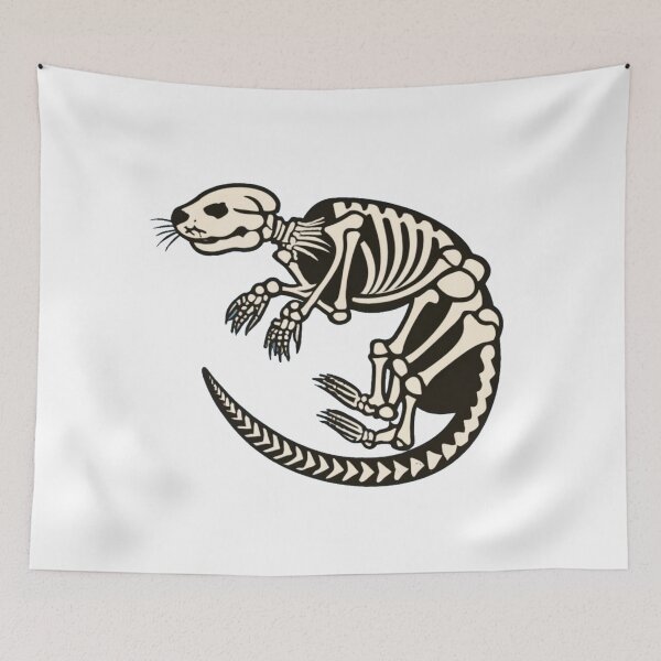 Item preview, Otter skeleton designed and sold by PawelNature.