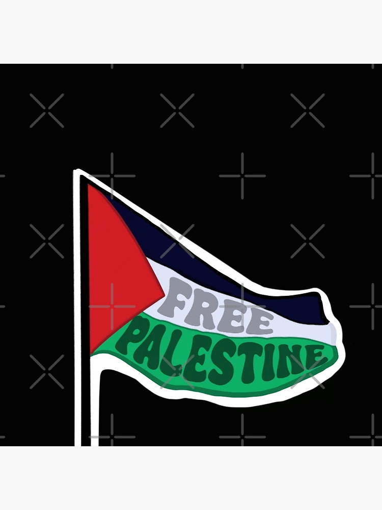 Free Palestine The Palestinian Flag Free Gaza Coffee Mug Men Women  Travelers