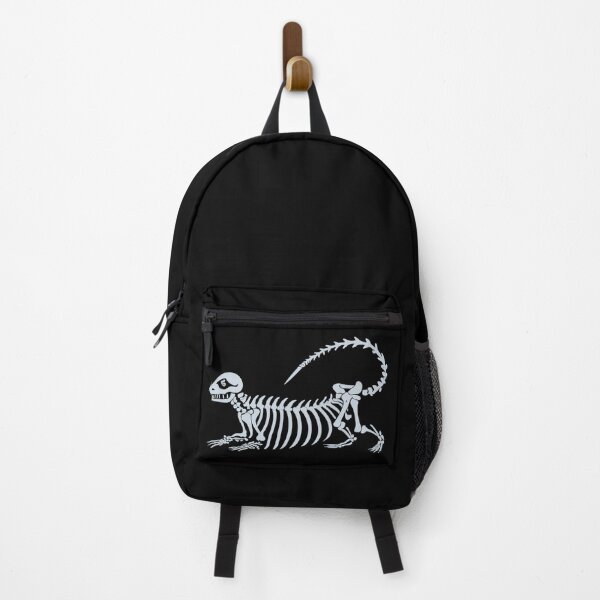 Item preview, Otter skeleton designed and sold by PawelNature.