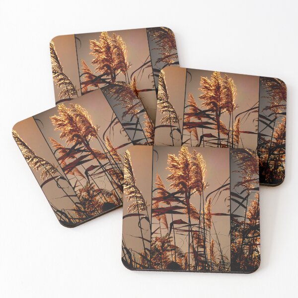 Item preview, reeds growing on the shore designed and sold by IgorKovalenko.