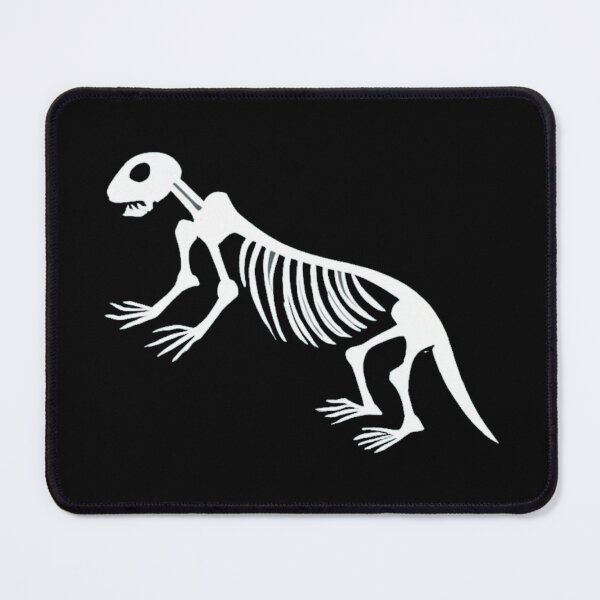 Item preview, Otter skeleton designed and sold by PawelNature.