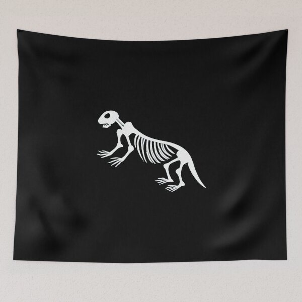 Item preview, Otter skeleton designed and sold by PawelNature.
