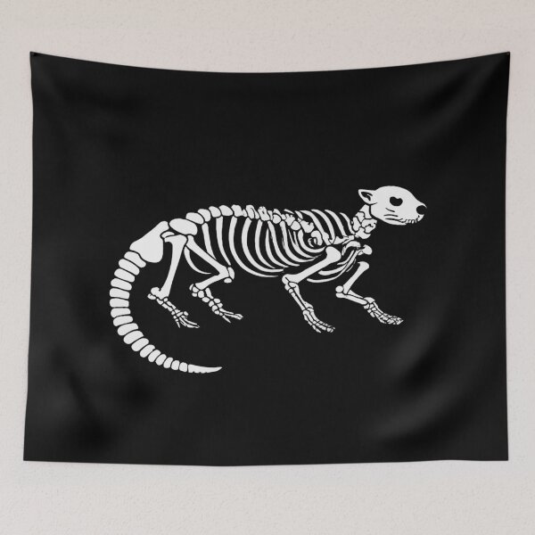 Item preview, Otter skeleton designed and sold by PawelNature.