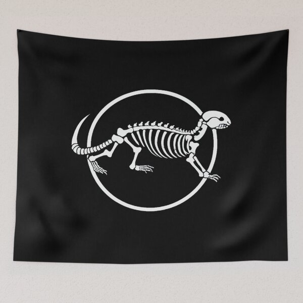 Item preview, Otter skeleton designed and sold by PawelNature.