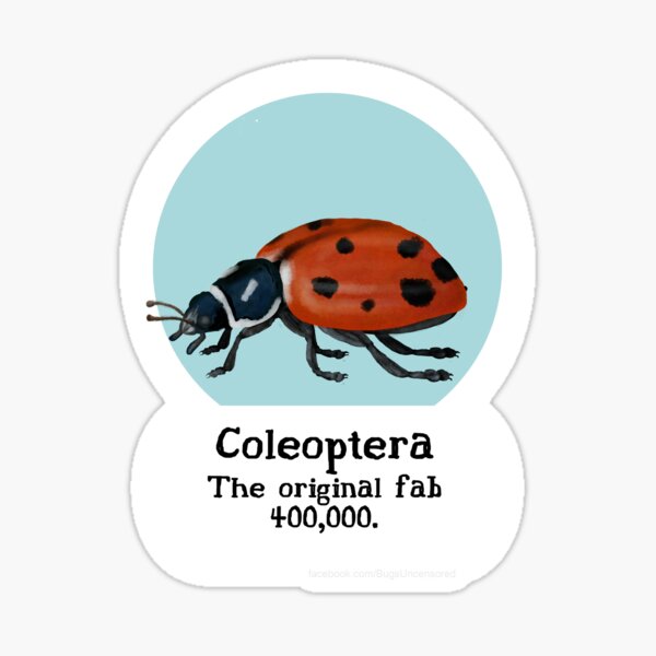 Coleoptera Pride! Sticker