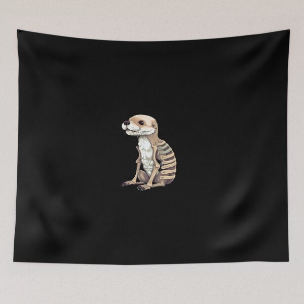 Item preview, Otter skeleton designed and sold by PawelNature.