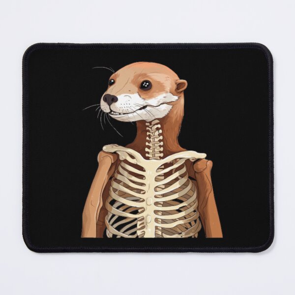 Item preview, Otter skeleton designed and sold by PawelNature.