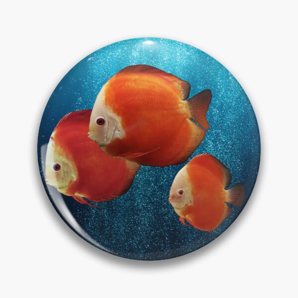 Item preview, DISCUS FISH - Red Melon Discus Fish designed and sold by Danicus666.