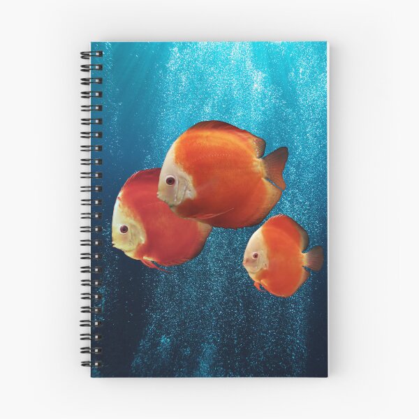 Item preview, DISCUS FISH - Red Melon Discus Fish designed and sold by Danicus666.