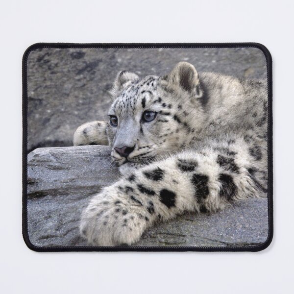Item preview, All Played Out designed and sold by Krys Bailey.