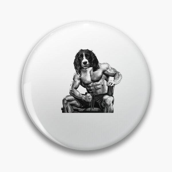 Artikelvorschau, Bodybuilding Springer Spaniel entworfen und verkauft von Anthony Hiorns.