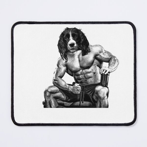Artikelvorschau, Bodybuilding Springer Spaniel entworfen und verkauft von Anthony Hiorns.