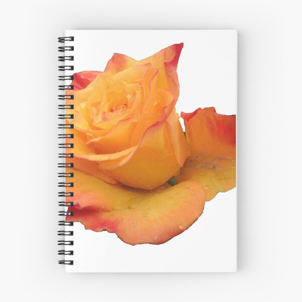 Item preview, Flower, the orange rose, roses designed and sold by rhnaturestyles.