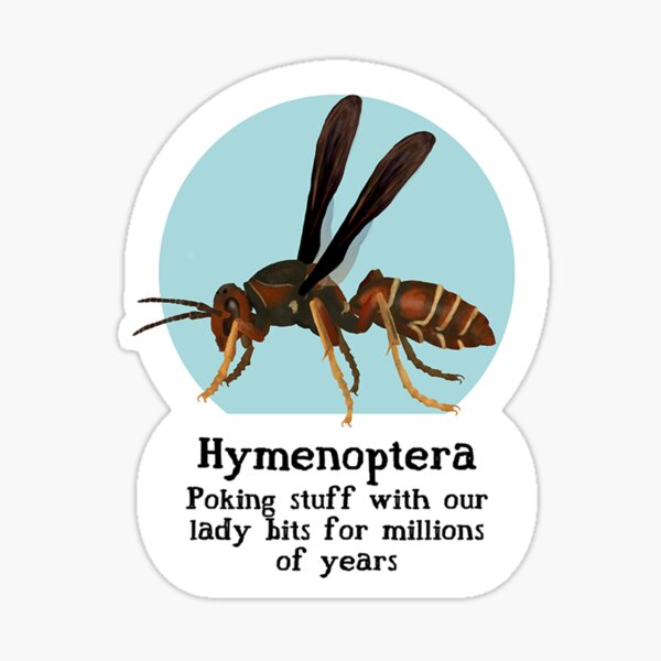 Hymenoptera Pride Sticker