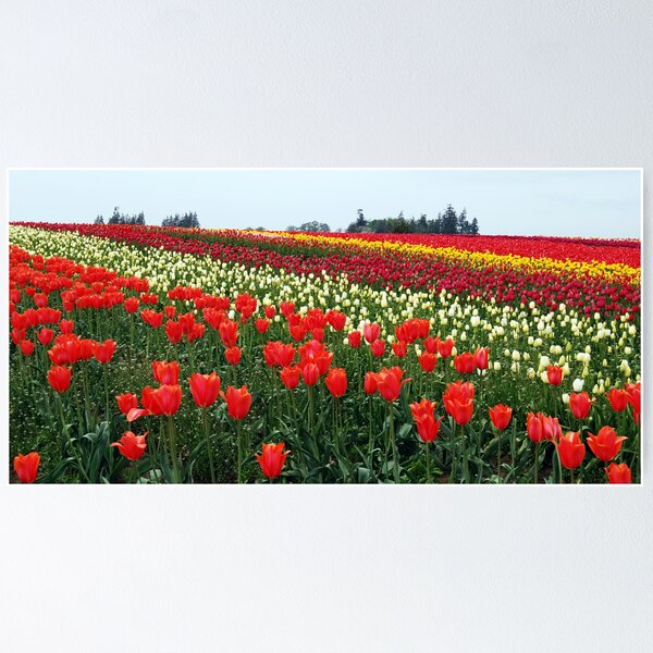 Item preview, Forever Tulips designed and sold by Tori Snow.