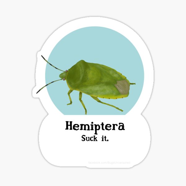 Hemiptera Pride! Sticker
