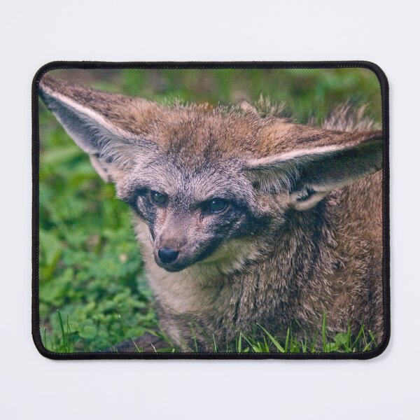 Item preview, Talk to me!  I'm all Ears! designed and sold by Krys Bailey.
