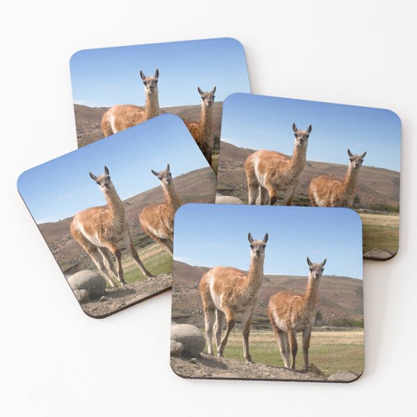 Item preview, Dos Amigos designed and sold by Krys Bailey.