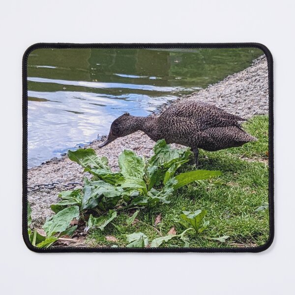 Item preview, Freckled Duck designed and sold by TheRealDanniX.
