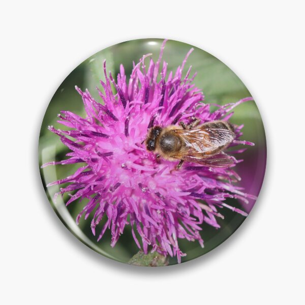 Item preview, Honeybee and thistles designed and sold by GreyFeatherPhot.