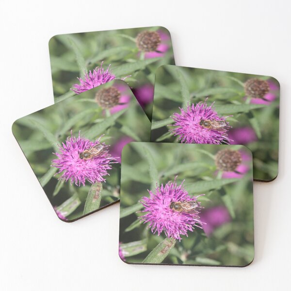 Item preview, Honeybee and thistles designed and sold by GreyFeatherPhot.