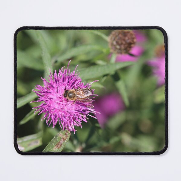 Item preview, Honeybee and thistles designed and sold by GreyFeatherPhot.