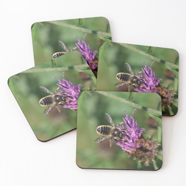 Item preview, Leafcutter bee on a thistle designed and sold by GreyFeatherPhot.