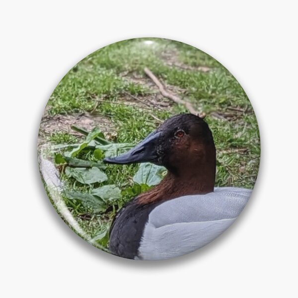 Item preview, Canvasback Waterfowl designed and sold by TheRealDanniX.