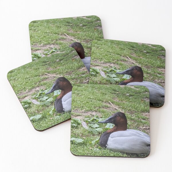 Item preview, Canvasback Waterfowl designed and sold by TheRealDanniX.