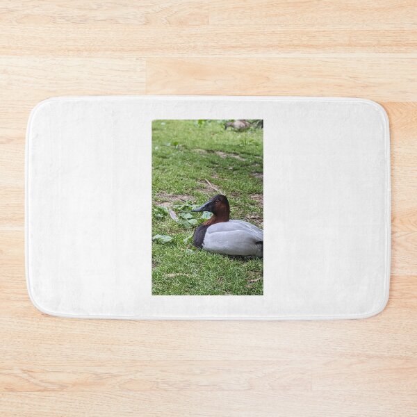 Item preview, Canvasback Waterfowl designed and sold by TheRealDanniX.