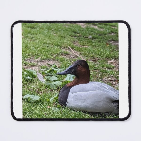 Item preview, Canvasback Waterfowl designed and sold by TheRealDanniX.