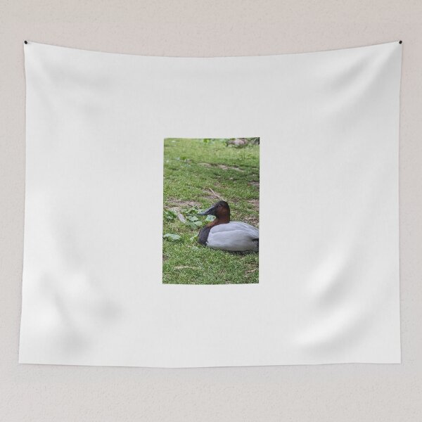 Item preview, Canvasback Waterfowl designed and sold by TheRealDanniX.