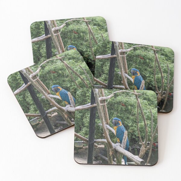 Item preview, Tired Blue-throated Macaw designed and sold by TheRealDanniX.