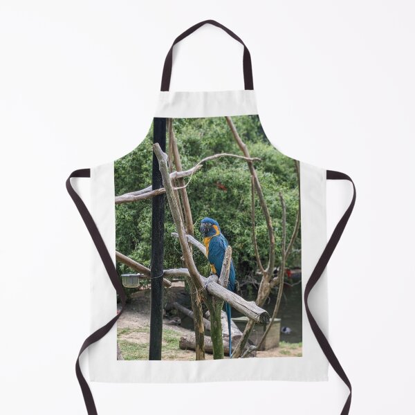 Item preview, Tired Blue-throated Macaw designed and sold by TheRealDanniX.