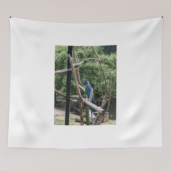 Item preview, Tired Blue-throated Macaw designed and sold by TheRealDanniX.