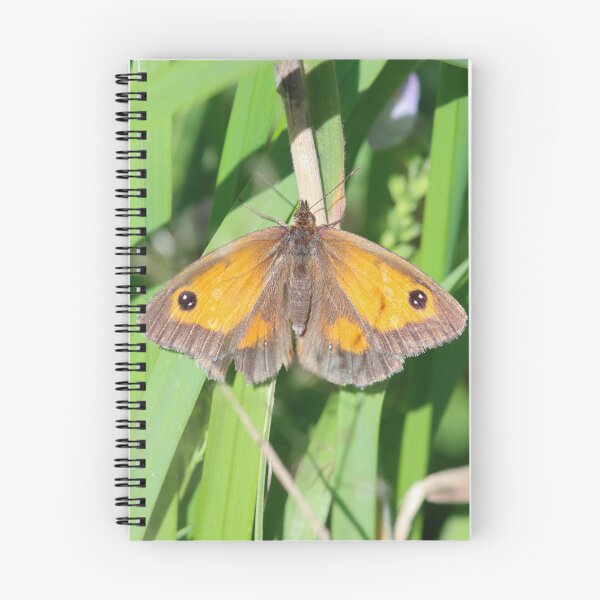 Item preview, Gatekeeper butterfly designed and sold by GreyFeatherPhot.