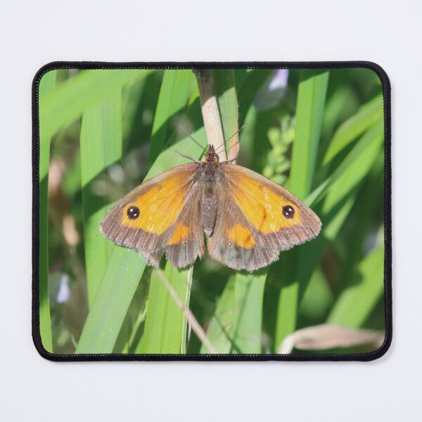 Item preview, Gatekeeper butterfly designed and sold by GreyFeatherPhot.