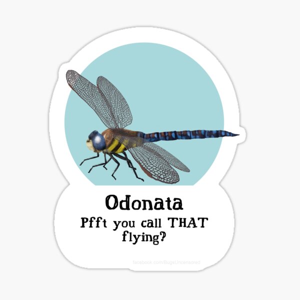 Odanata Pride Sticker