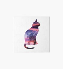 Sunset cat Art Board